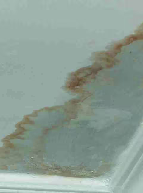 water damage stain on ceiling