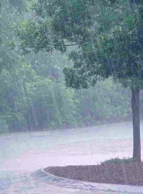 rain storm