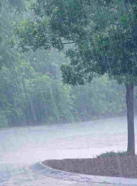 rain storm