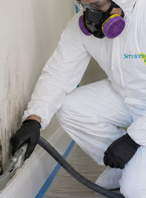 Mold