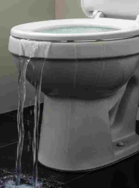 Toilet overflow