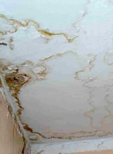 leaky roof with mold growing