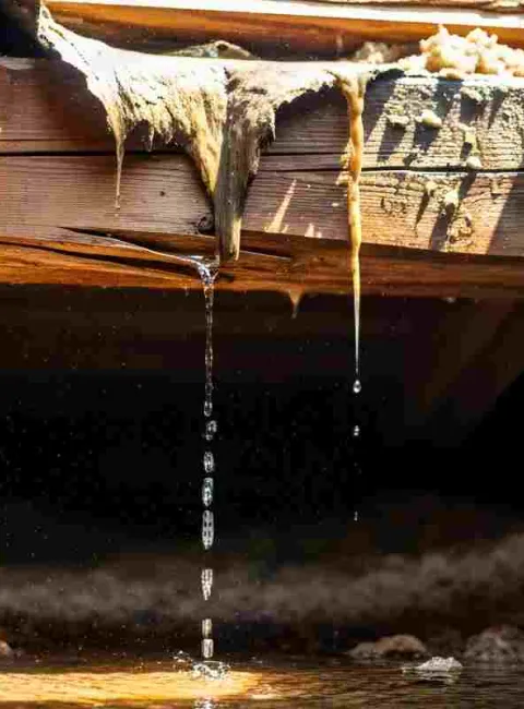 wet crawl space