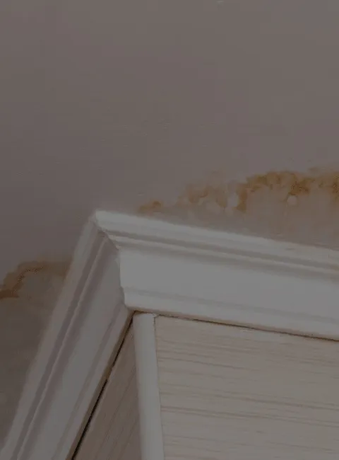 Mold
