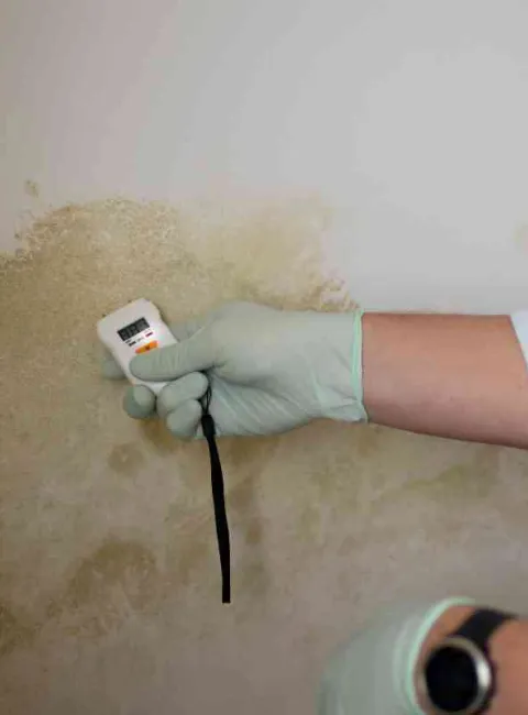 water detection equipment used on a water damaged wall
