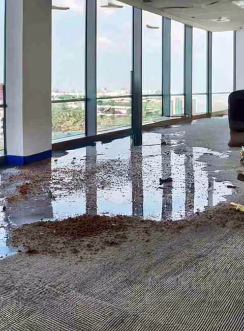water damage on floor in office