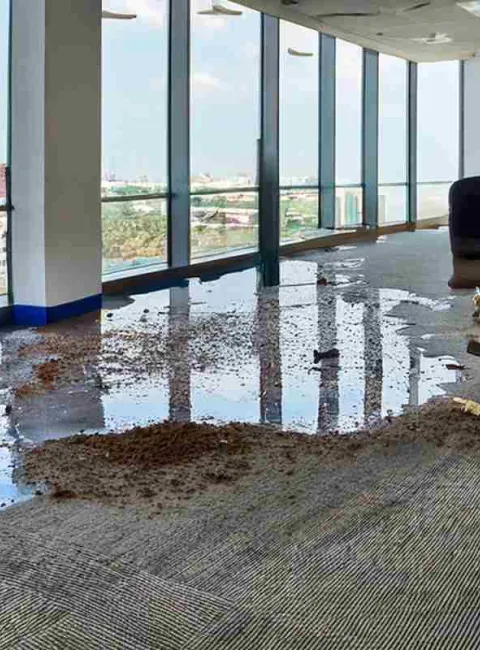 water damage on floor in office