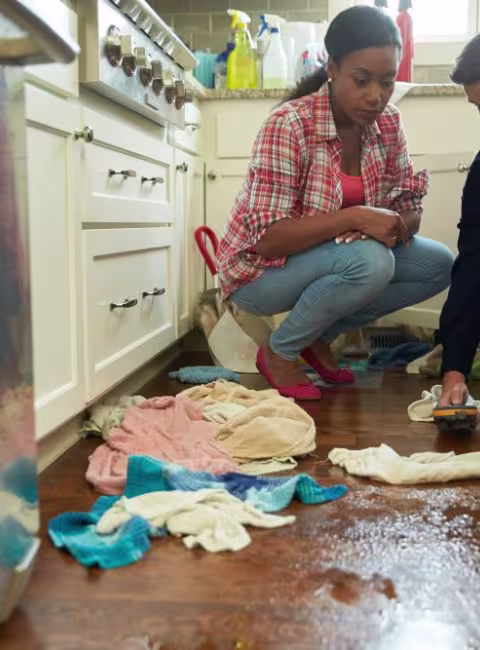 Plumbing Leaks