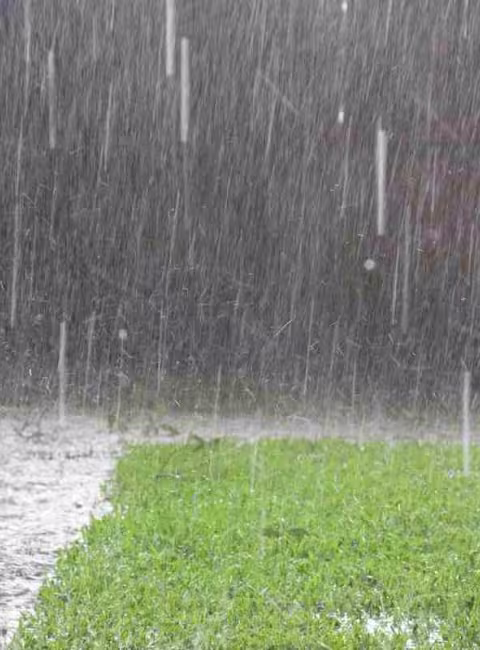 heavy rainstorm coming down in backyard
