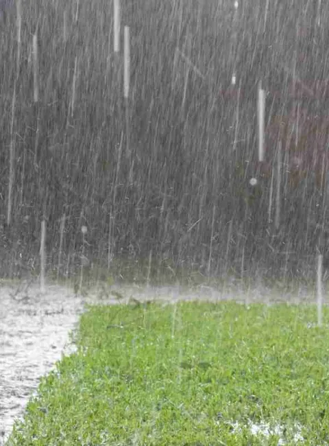 heavy rainstorm coming down in backyard