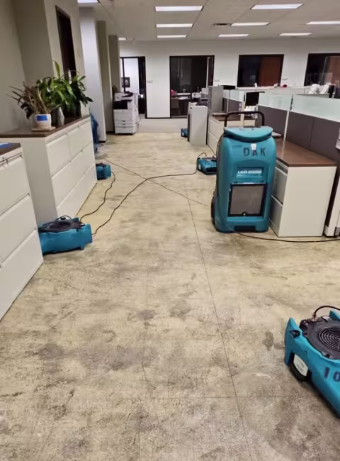 library-cleaning