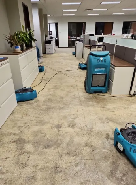 library-cleaning