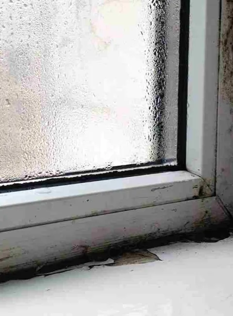 mold growing from condensation from a window