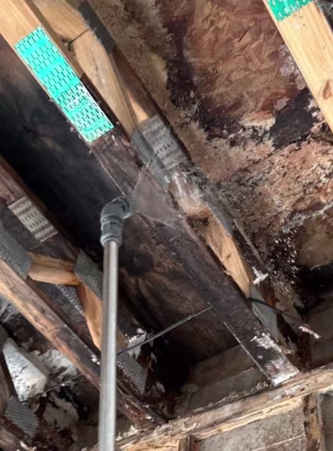 attic-water-damage-chicago