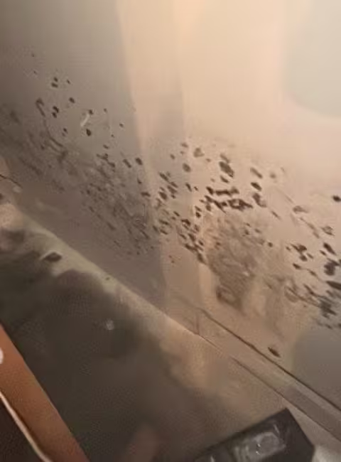 musty-smell-in-house