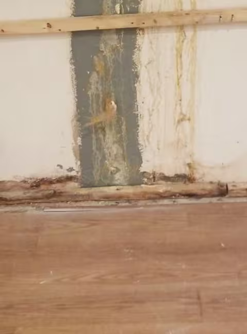 slab-leak-water-damage