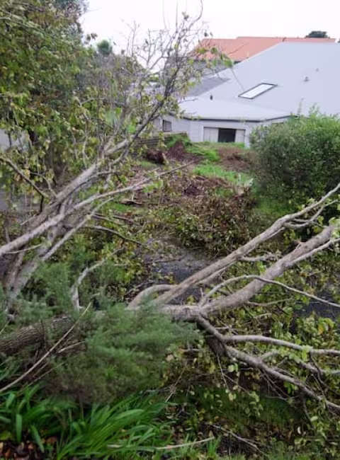 tornado-damage-cleanup