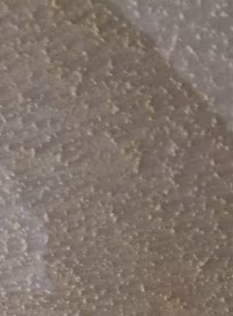 water-damage-apartment