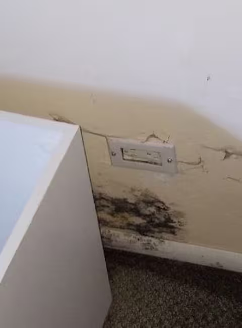 mold-in-workplace-2