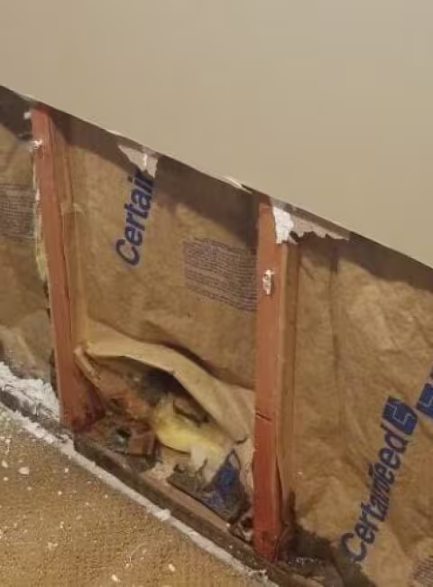 water-damaged-drywall