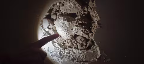Mold Remediation