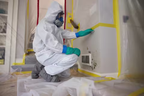 mold damage technician