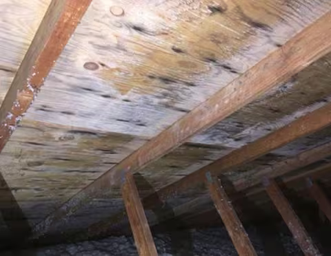 mold on attic roof sheathing seen from attic
