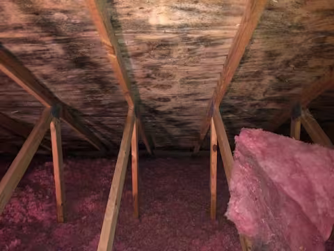 Black mold on attic sheathing