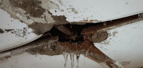 roof leak repair