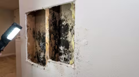 Mold in Wall Cavity