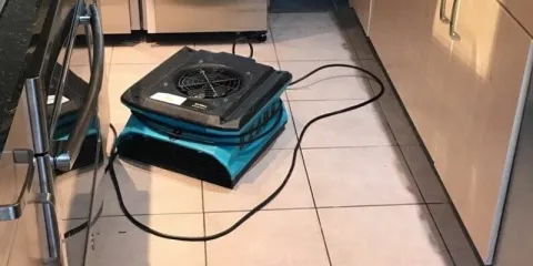 garbage-disposal-water-cleanup-air-mover