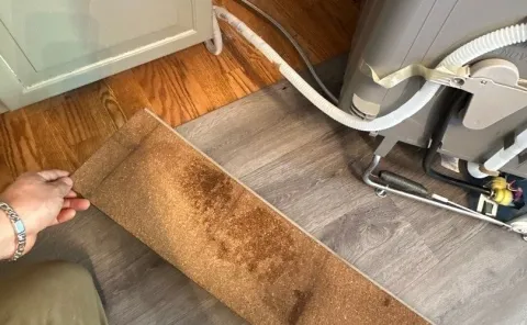 signs-of-dishwasher-leaking-from-the-bottom