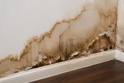 Water damaged and discolored drywall in room corner