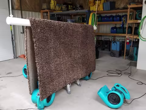 Rug hanging for drying post cleaning