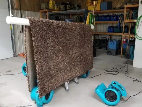 Rug hanging for drying post cleaning