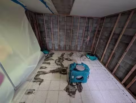 Room Containment with heavy mil plastic and HEPA filtration