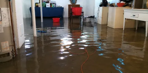 Basement flooded with CAT 3 Water.  