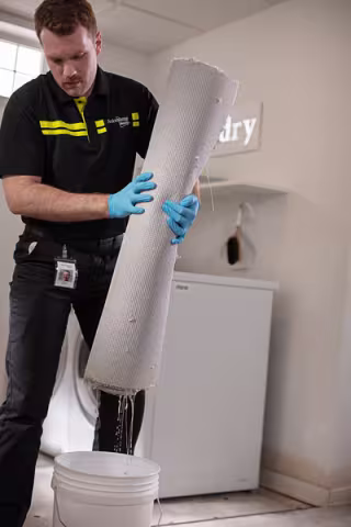 ServiceMaster tech removing wet carpet from basement