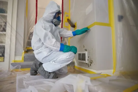 servicemaster technician in full ppe crouched down in front of a wall performing mold removal services