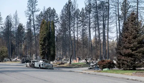 Burned vehicles and fire-damaged trees along a residential street in Spokane