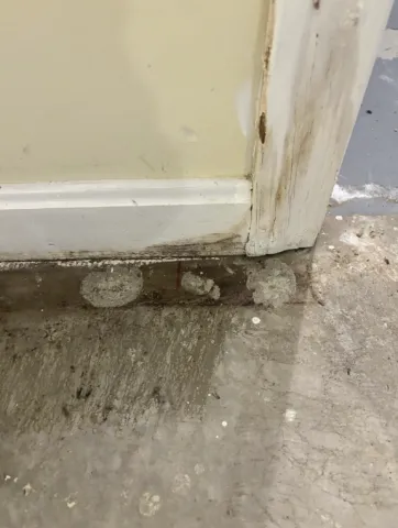 water damaged wood trim
