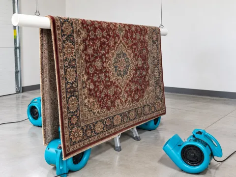 Area rug hanging and being dried out with ServiceMaster Airmovers