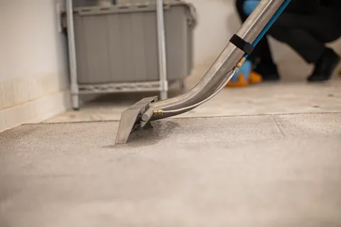 Extraction wand removing excess water from carpet