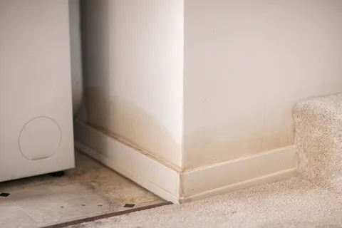 Water damaged drywall and baseboard