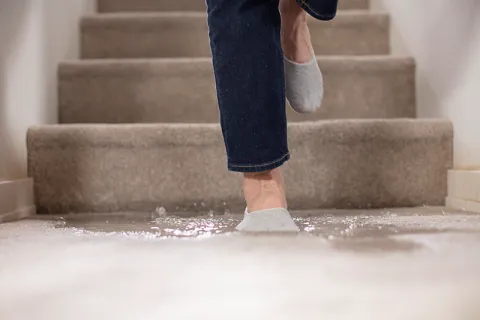 stocking feet stepping onto wet carpet