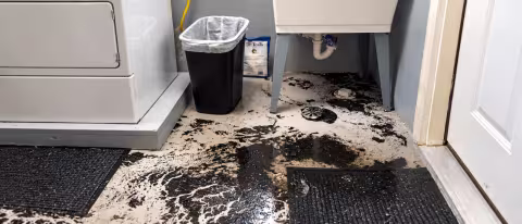 Sewer backup in laundry room.  Black sediment on floor.