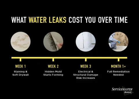 Ignoring Minor Water Leaks Can Lead to Costly Damage