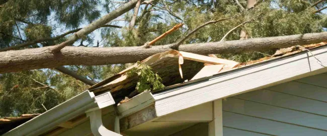 fallen tree on house from a storm