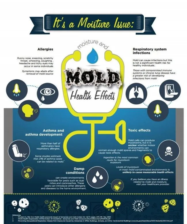Mold and Health Effects