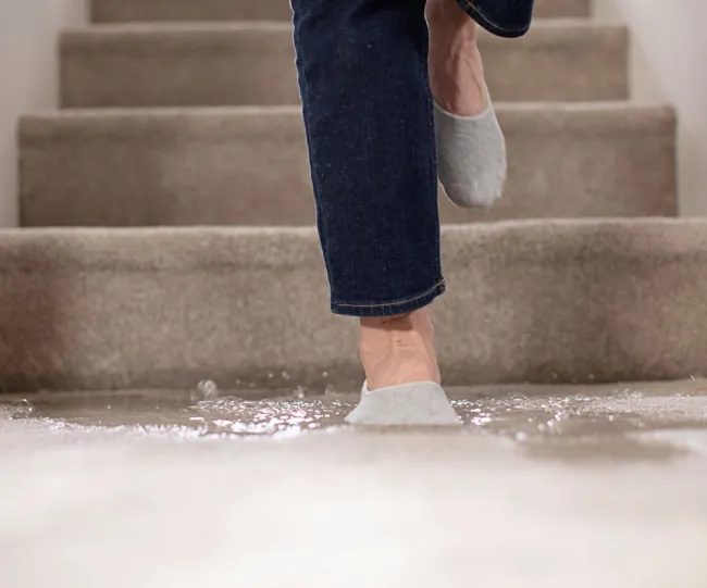 person walking on flooded carpet